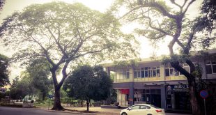 5247396 image 310x165 - Công thức cảm ứng từ và cách xác định lực từ đơn giản