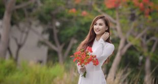 hoaphuong 26 310x165 - Cảm nhận khổ thơ 4 trong bài thơ Việt Bắc